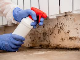 Best Mold Documentation for Insurance Claims  in Victoria, TX